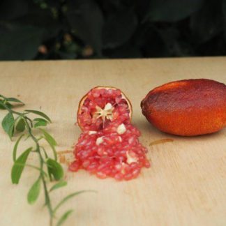 Citron caviar Grenat