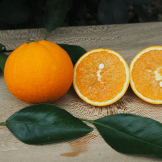 orange fragola